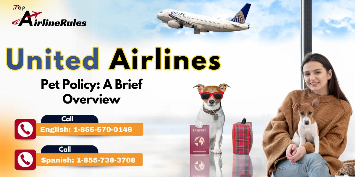 United Airlines Pet Policy: A Brief Overview