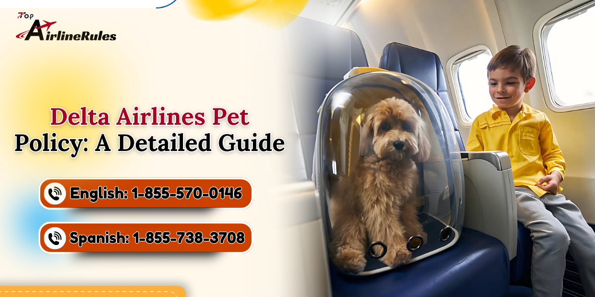 Delta Airlines Pet Policy: A Detailed Guide